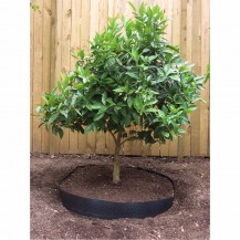 14376 - root barrier in-situ
